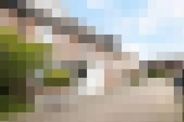 Fazantstraat 10 Alkmaar thumbnail 47