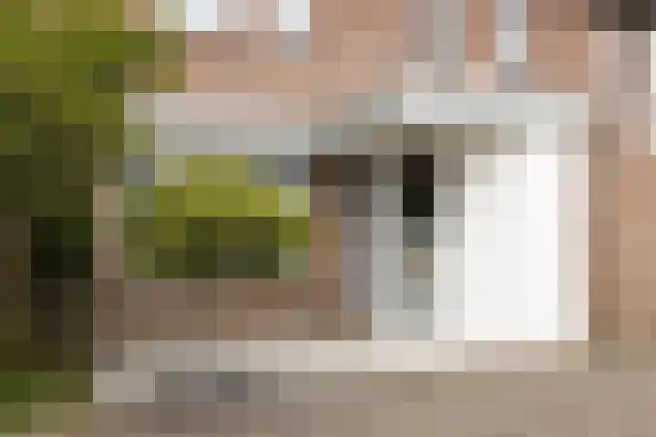 Fazantstraat 10 Alkmaar thumbnail 6