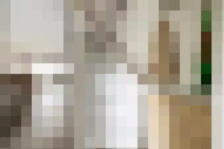 Fazantstraat 10 Alkmaar thumbnail 8