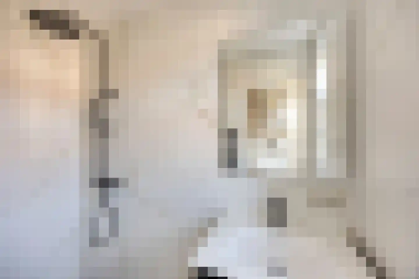 Fazantstraat 101 C Rotterdam thumbnail 7