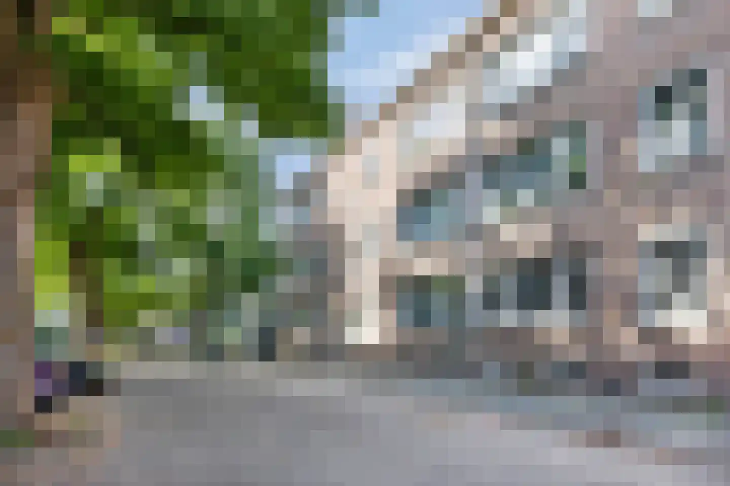 Fazantstraat 101 C Rotterdam thumbnail 8