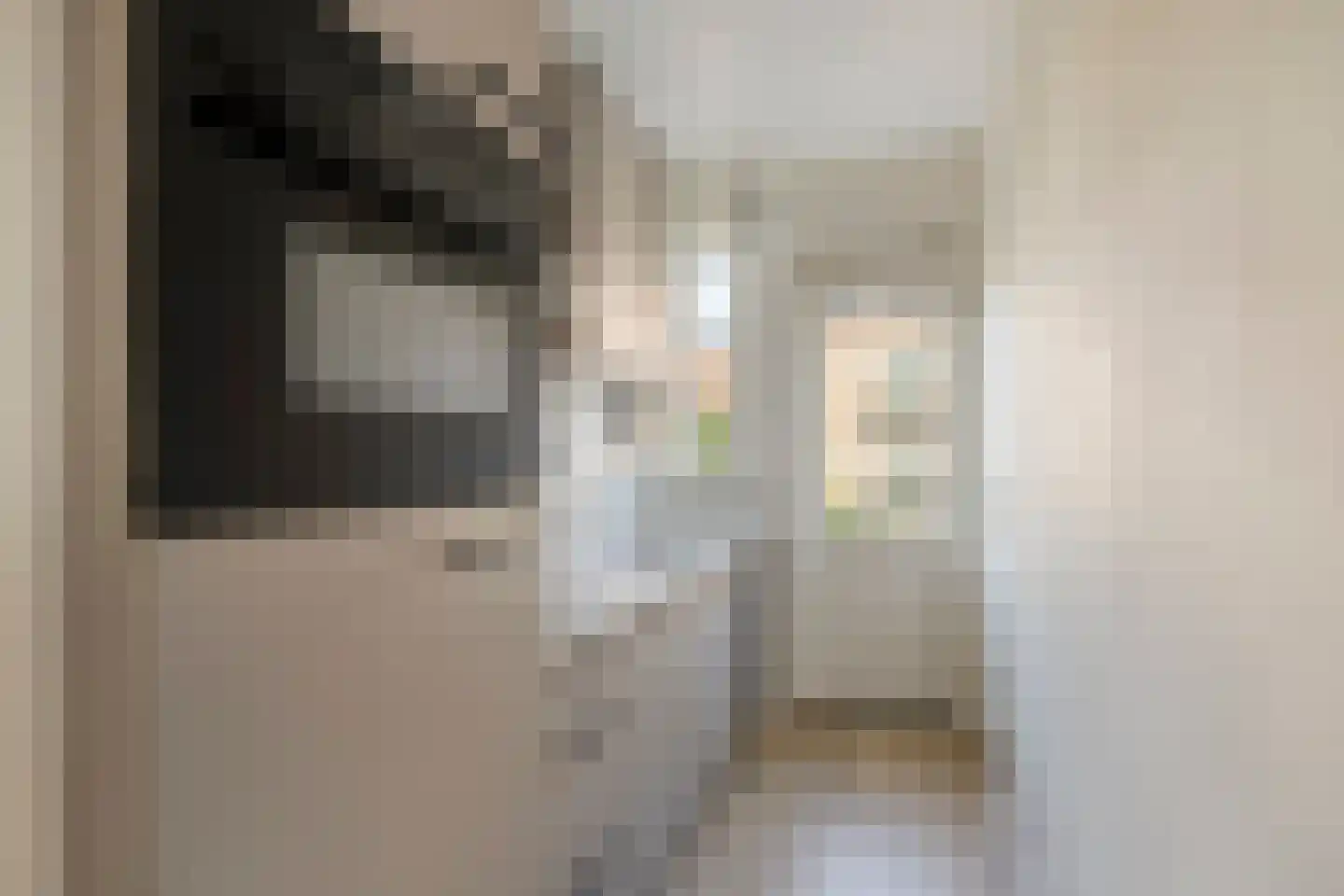 Fazantstraat 103 B Rotterdam thumbnail 5