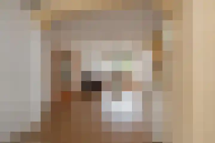 Fazantstraat 106 Alphen aan den Rijn thumbnail 4