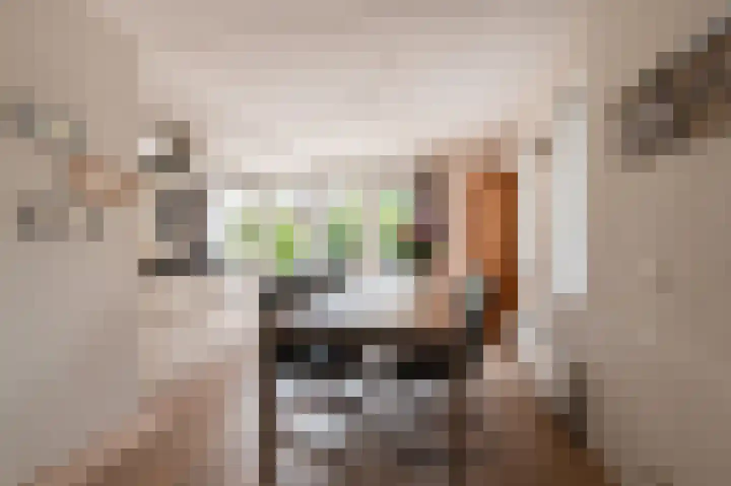 Fazantstraat 11 Culemborg thumbnail 17