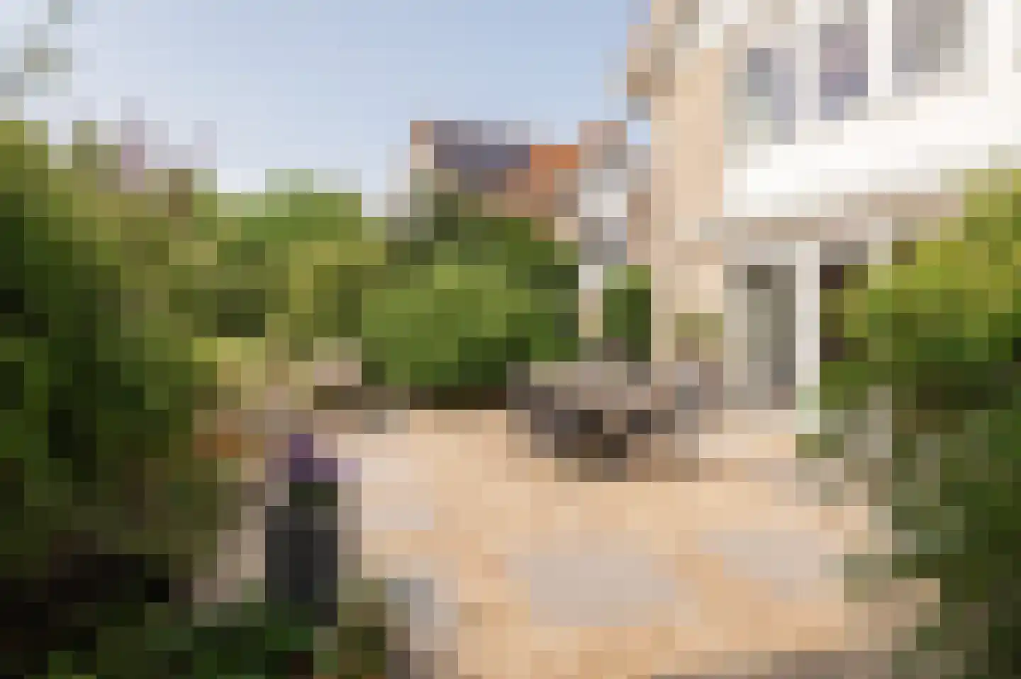 Fazantstraat 11 Culemborg thumbnail 28