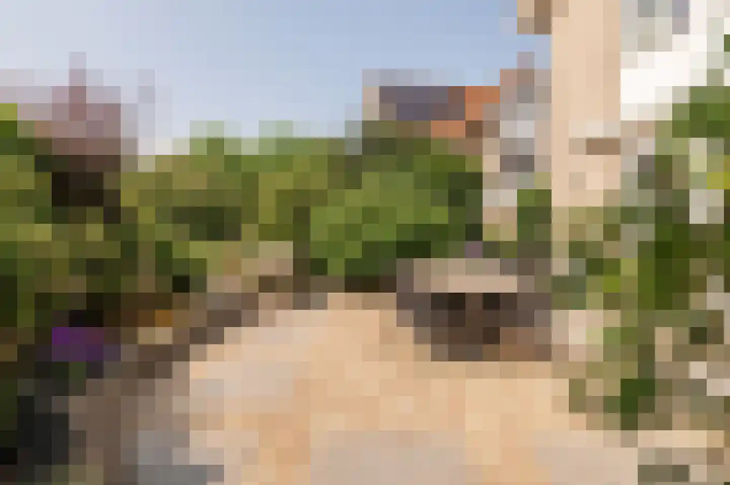 Fazantstraat 11 Culemborg thumbnail 29