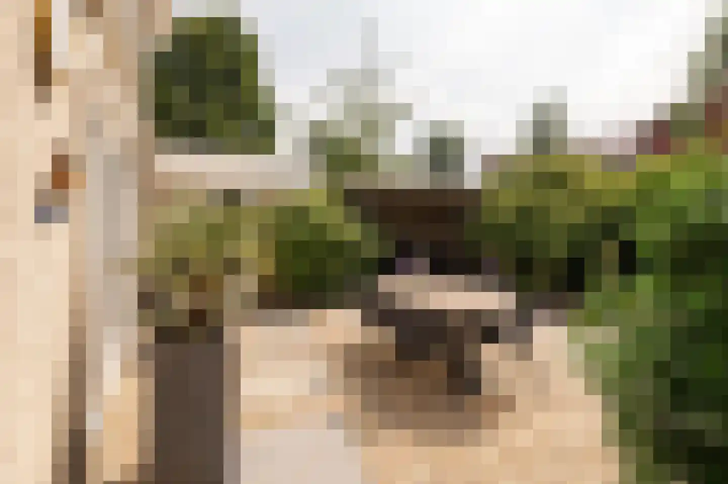 Fazantstraat 11 Culemborg thumbnail 31