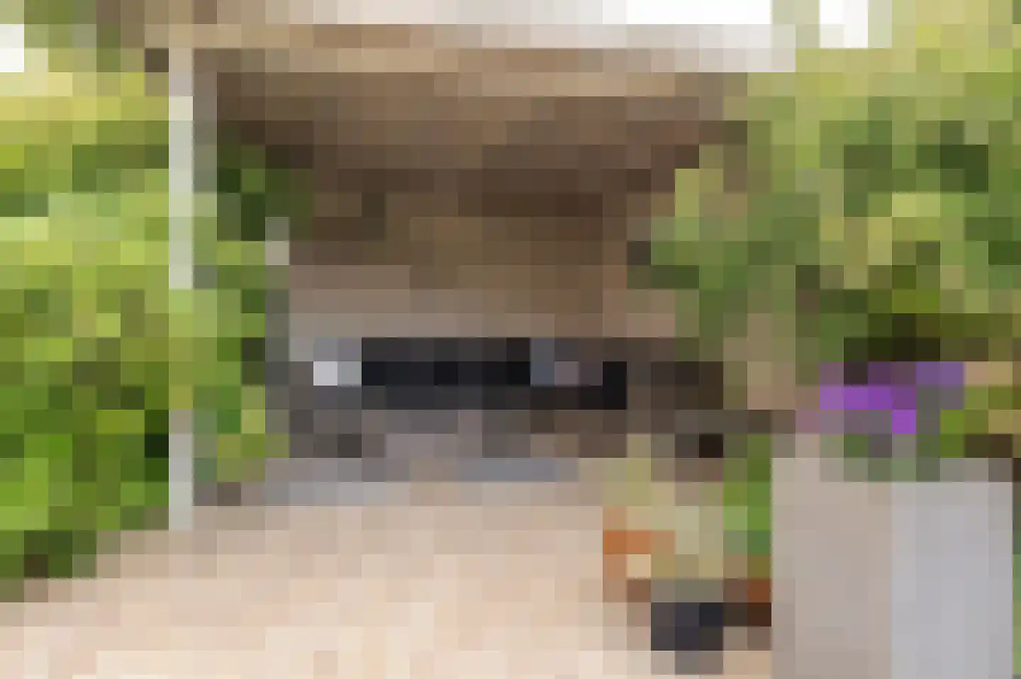 Fazantstraat 11 Culemborg thumbnail 33