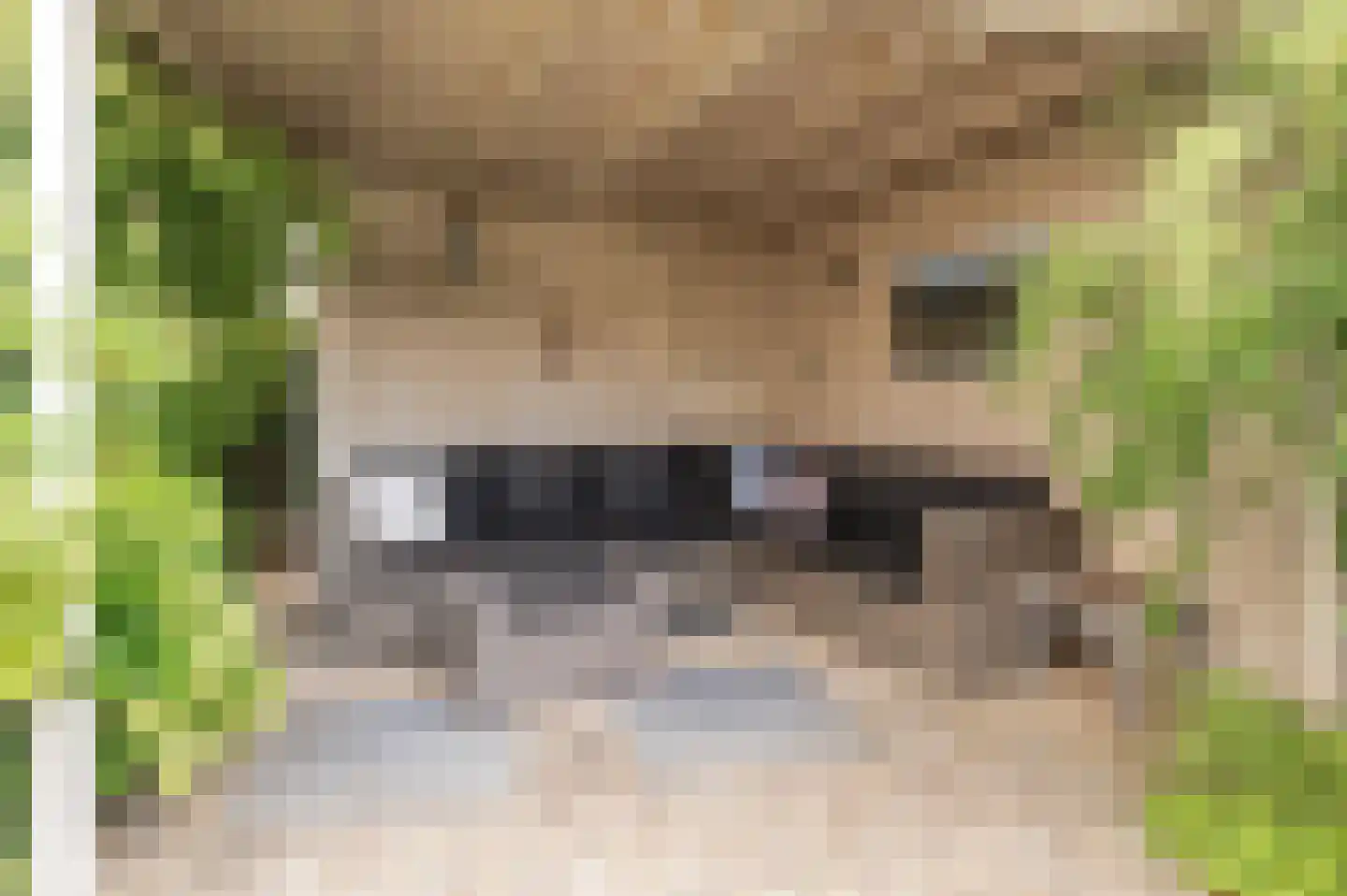 Fazantstraat 11 Culemborg thumbnail 34