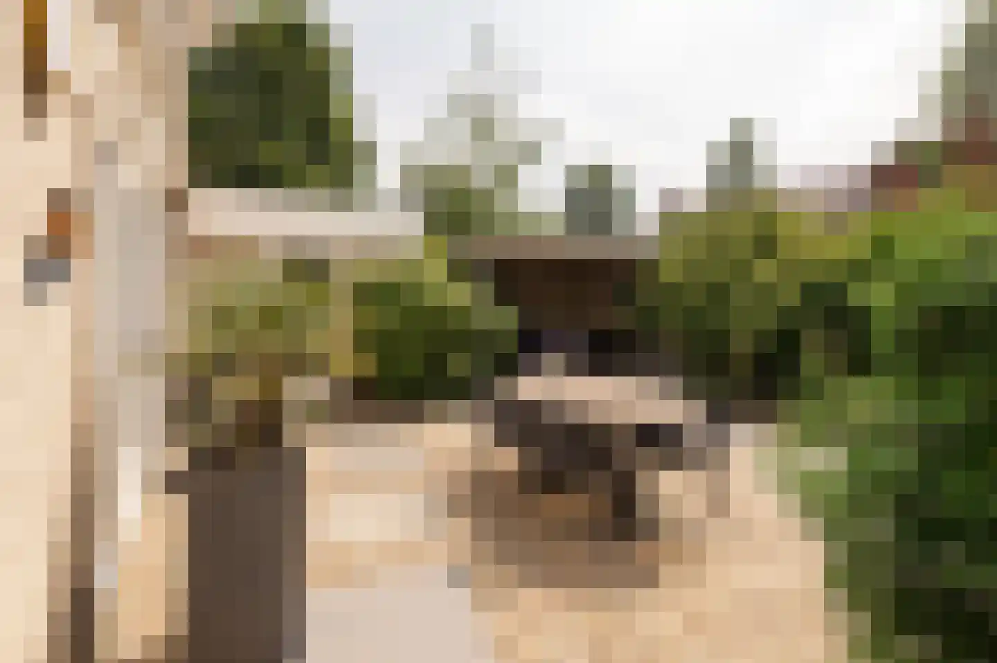 Fazantstraat 11 Culemborg thumbnail 5