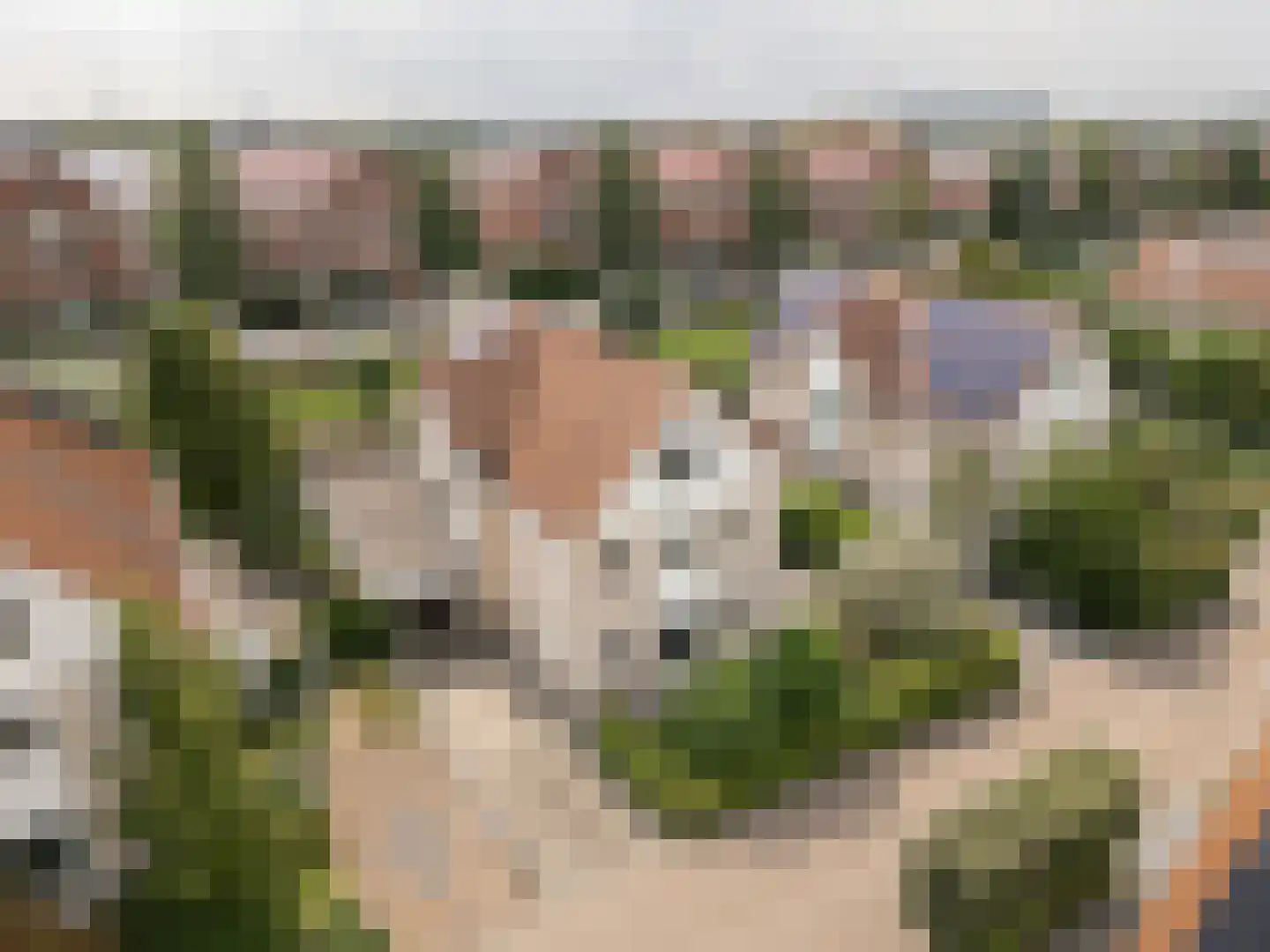 Fazantstraat 11 Culemborg thumbnail 61
