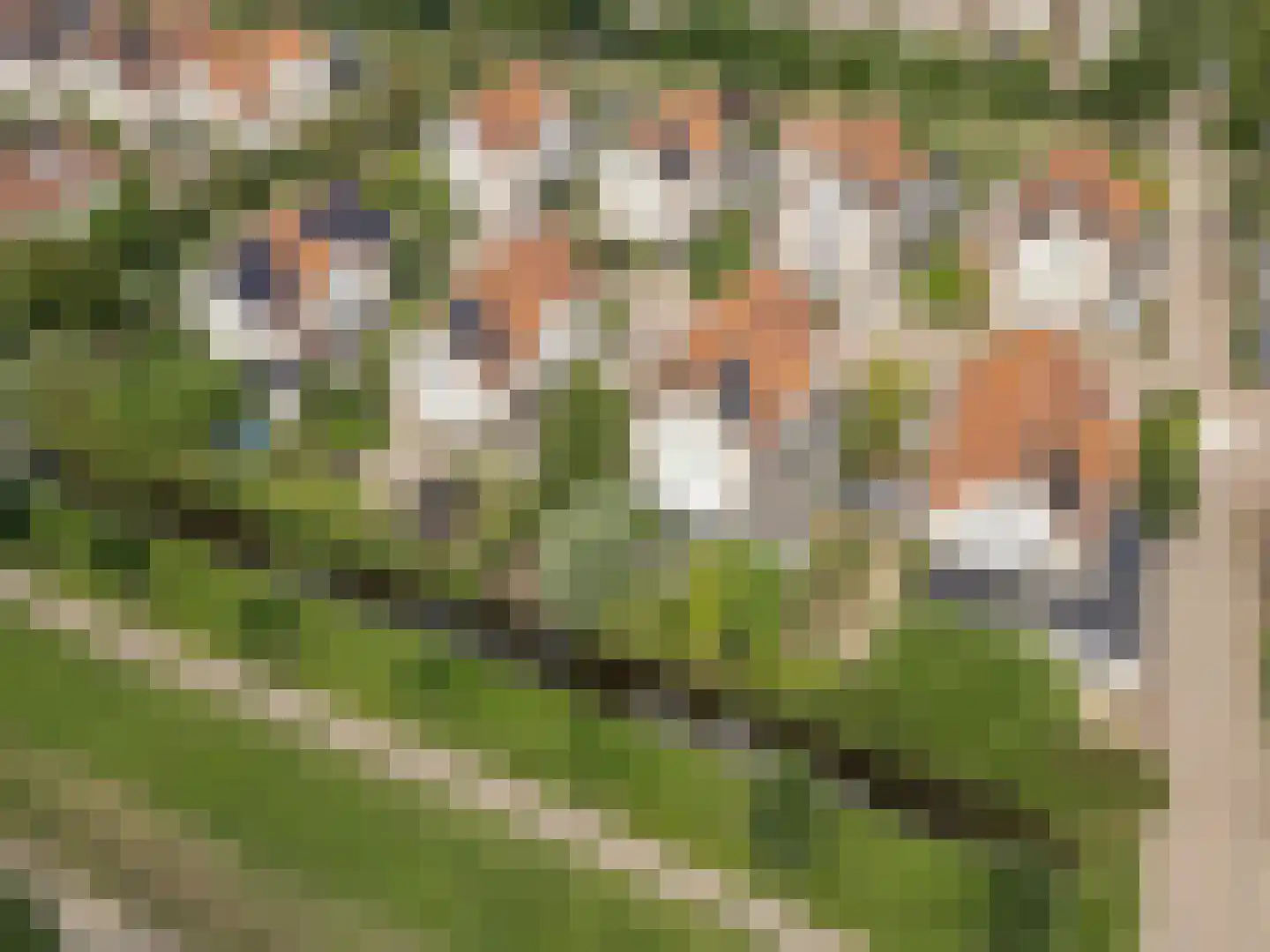 Fazantstraat 11 Culemborg thumbnail 62