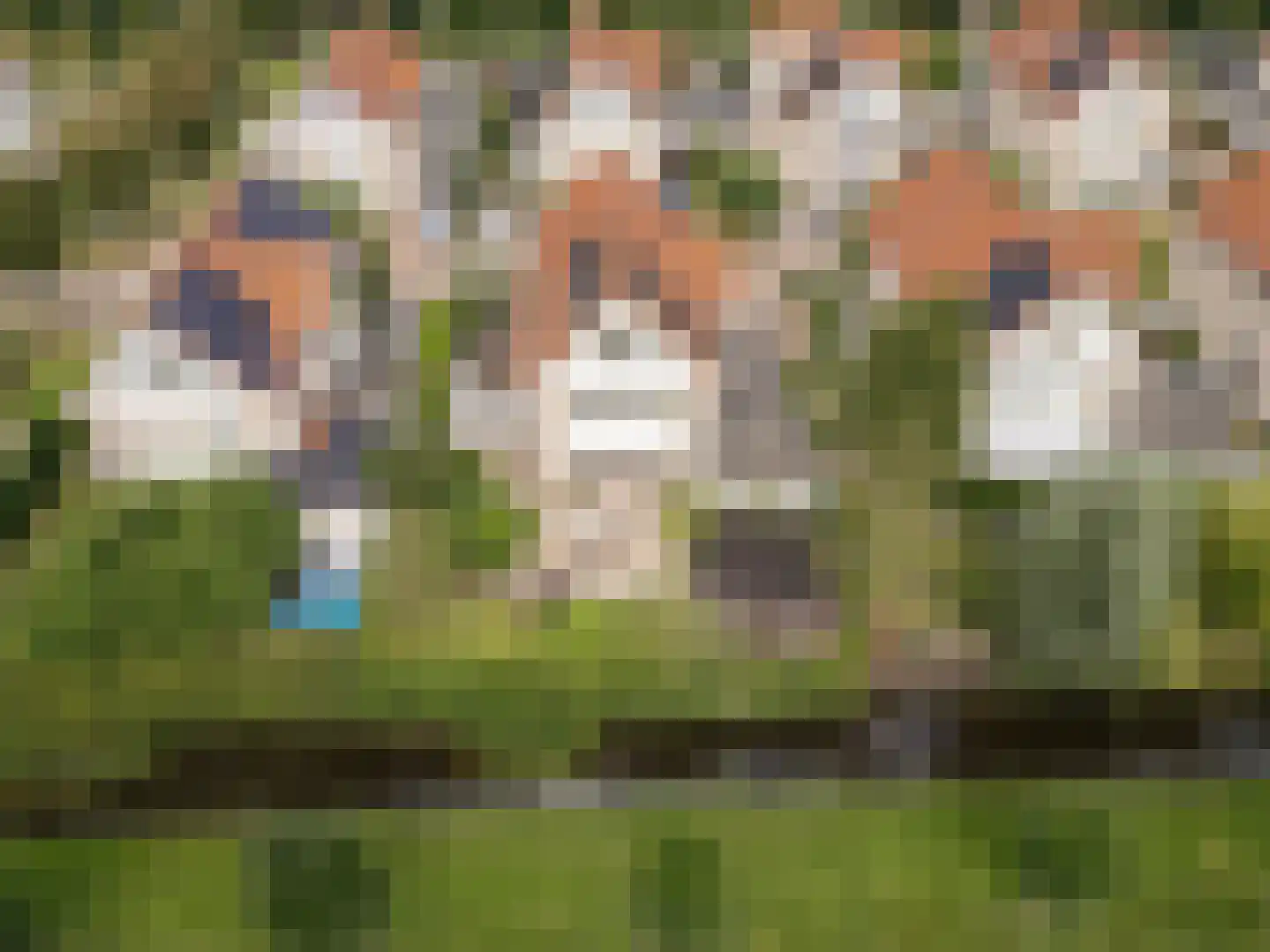 Fazantstraat 11 Culemborg thumbnail 63