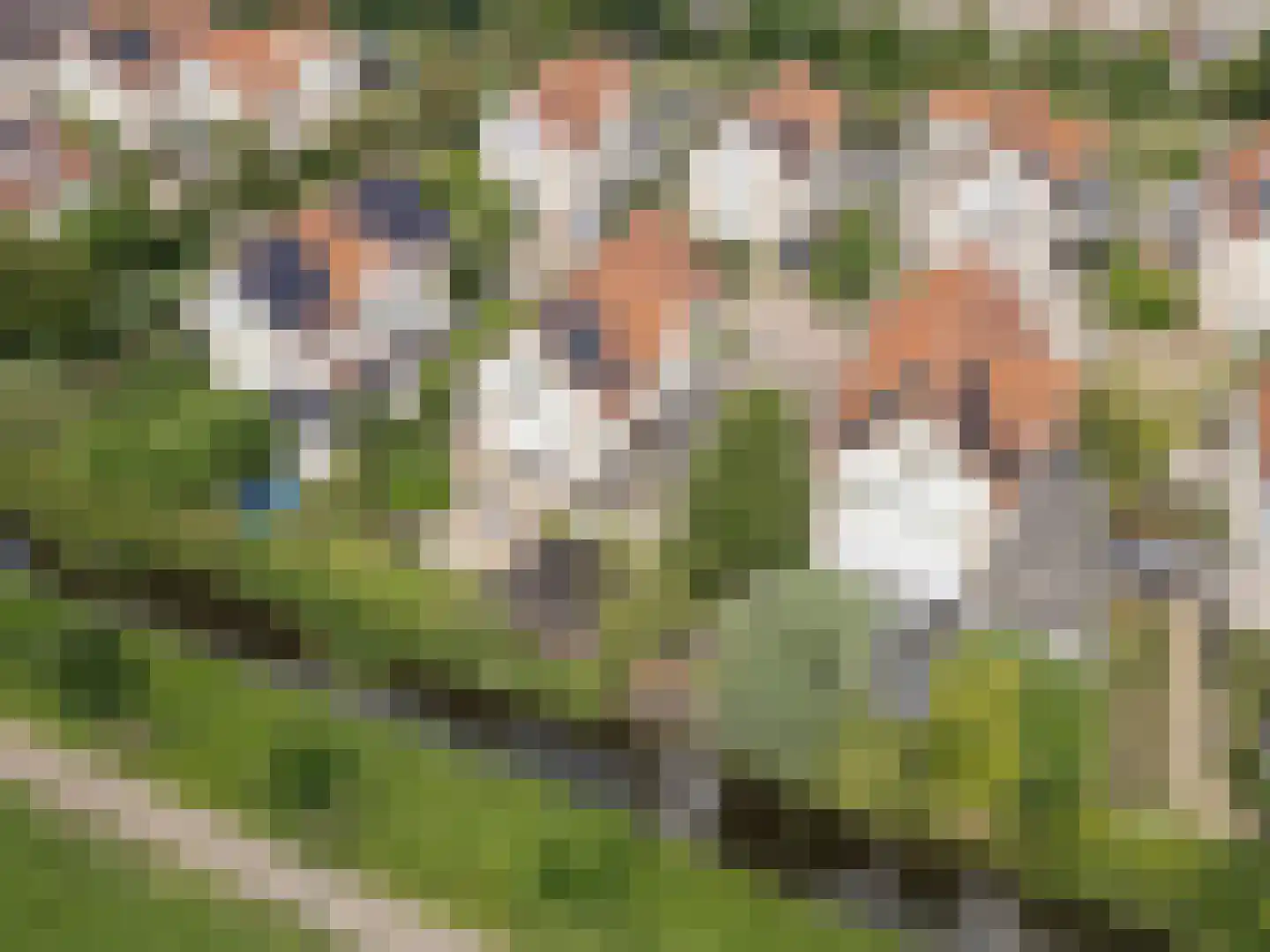 Fazantstraat 11 Culemborg thumbnail 64