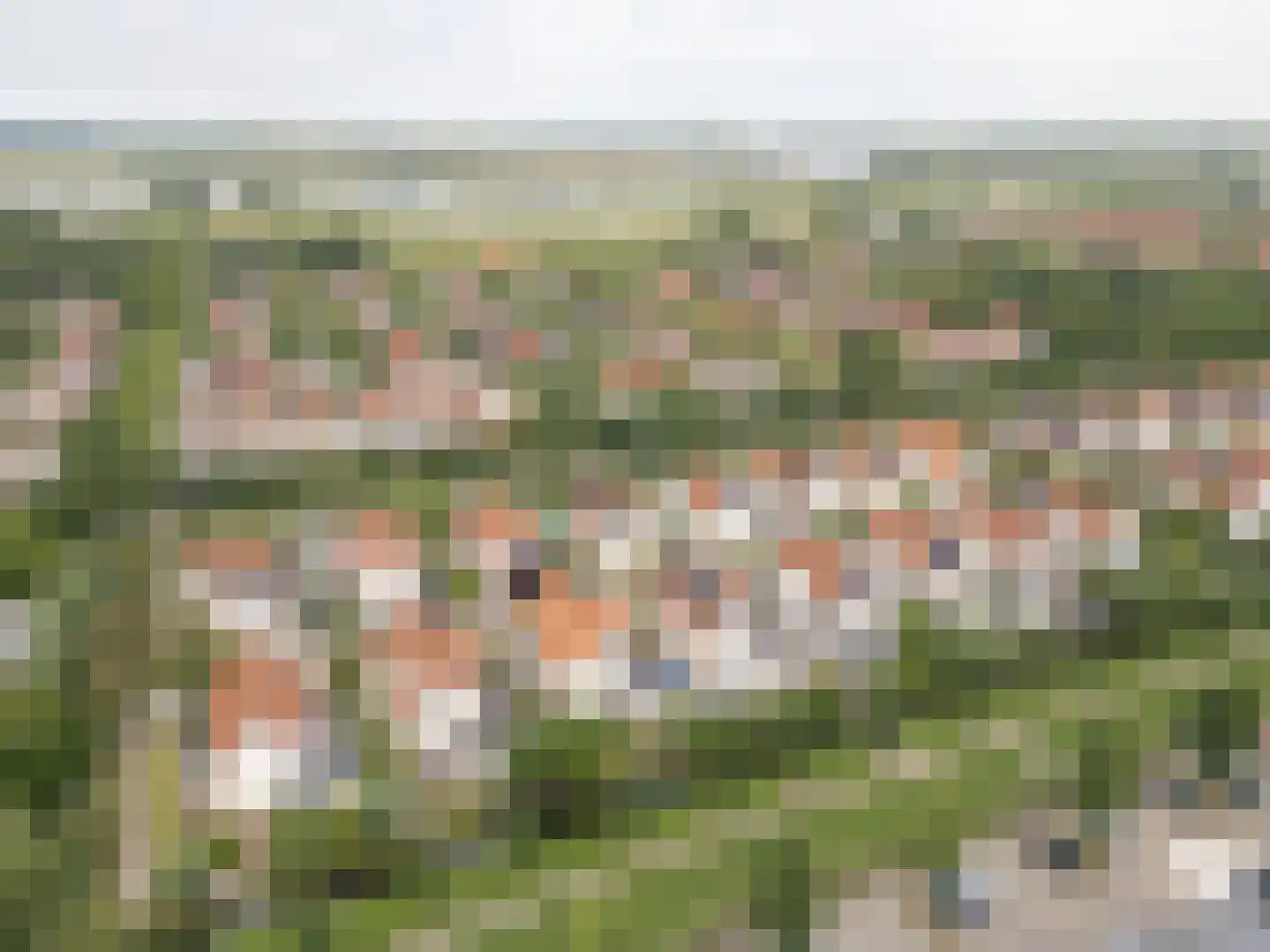 Fazantstraat 11 Culemborg thumbnail 65