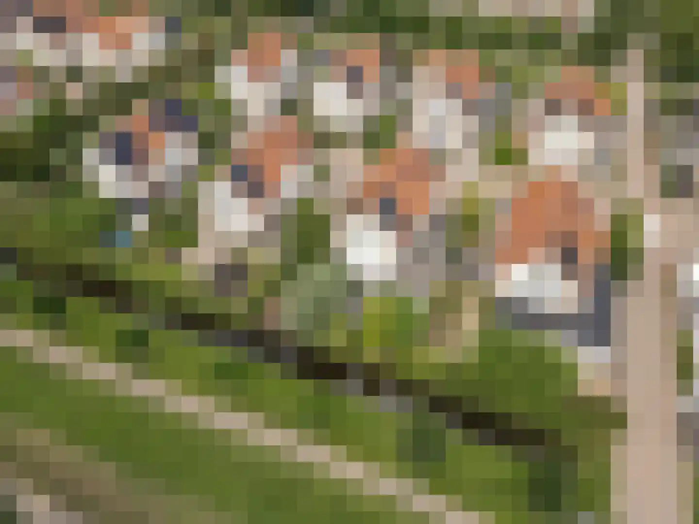 Fazantstraat 11 Culemborg thumbnail 67