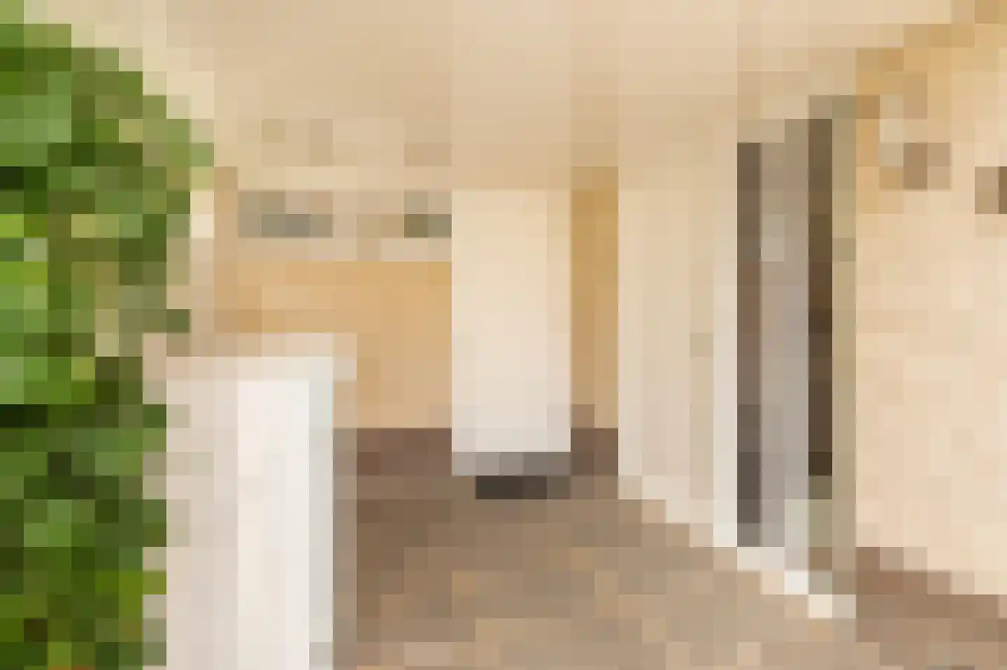 Fazantstraat 11 Culemborg thumbnail 7