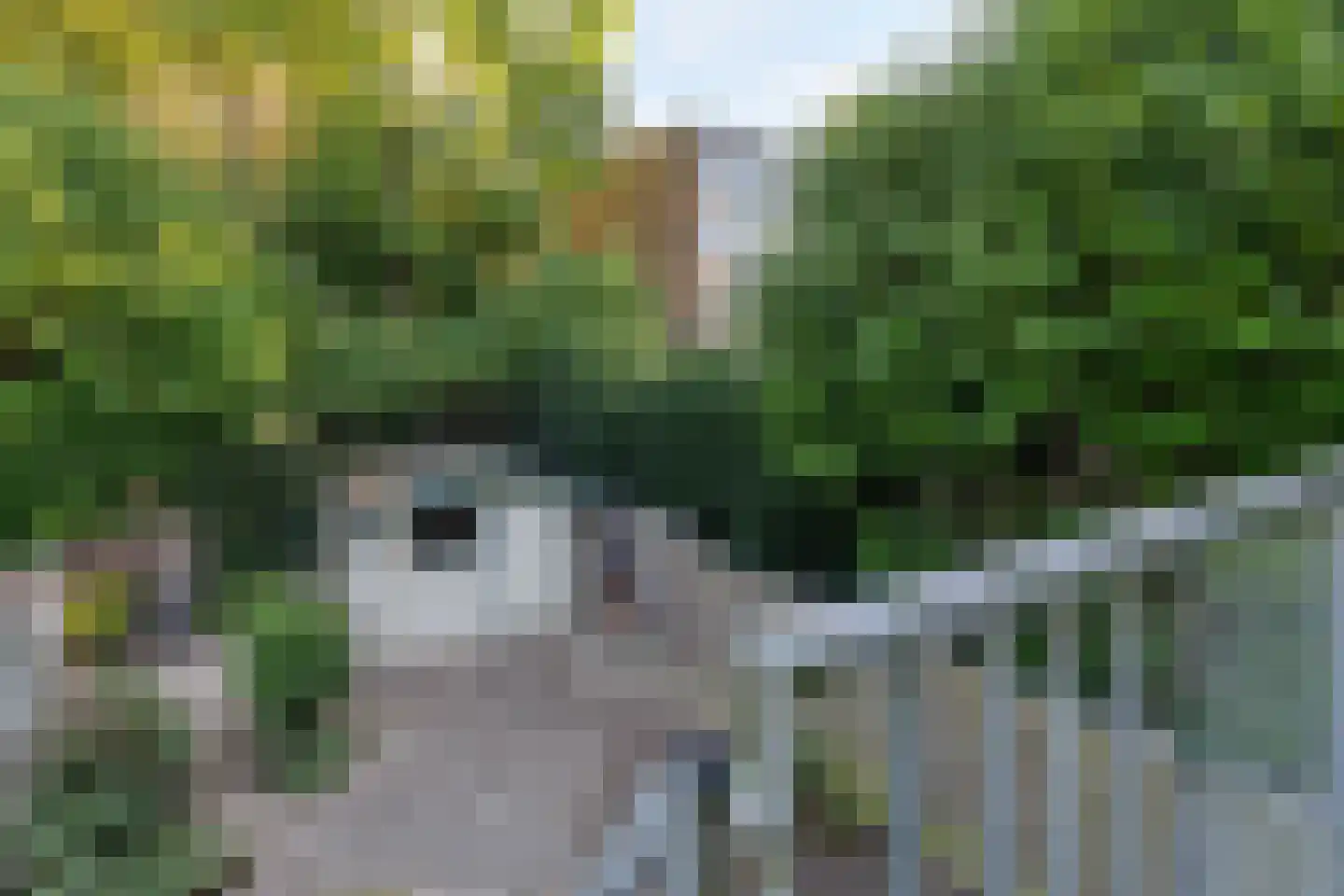 Fazantstraat 11 Sittard thumbnail 4