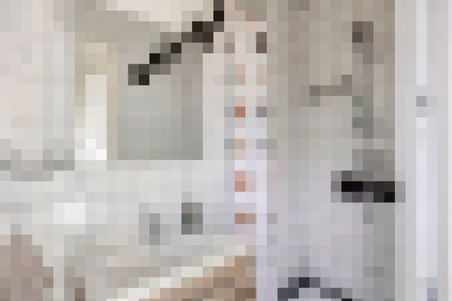 Fazantstraat 110 A Rotterdam thumbnail 16