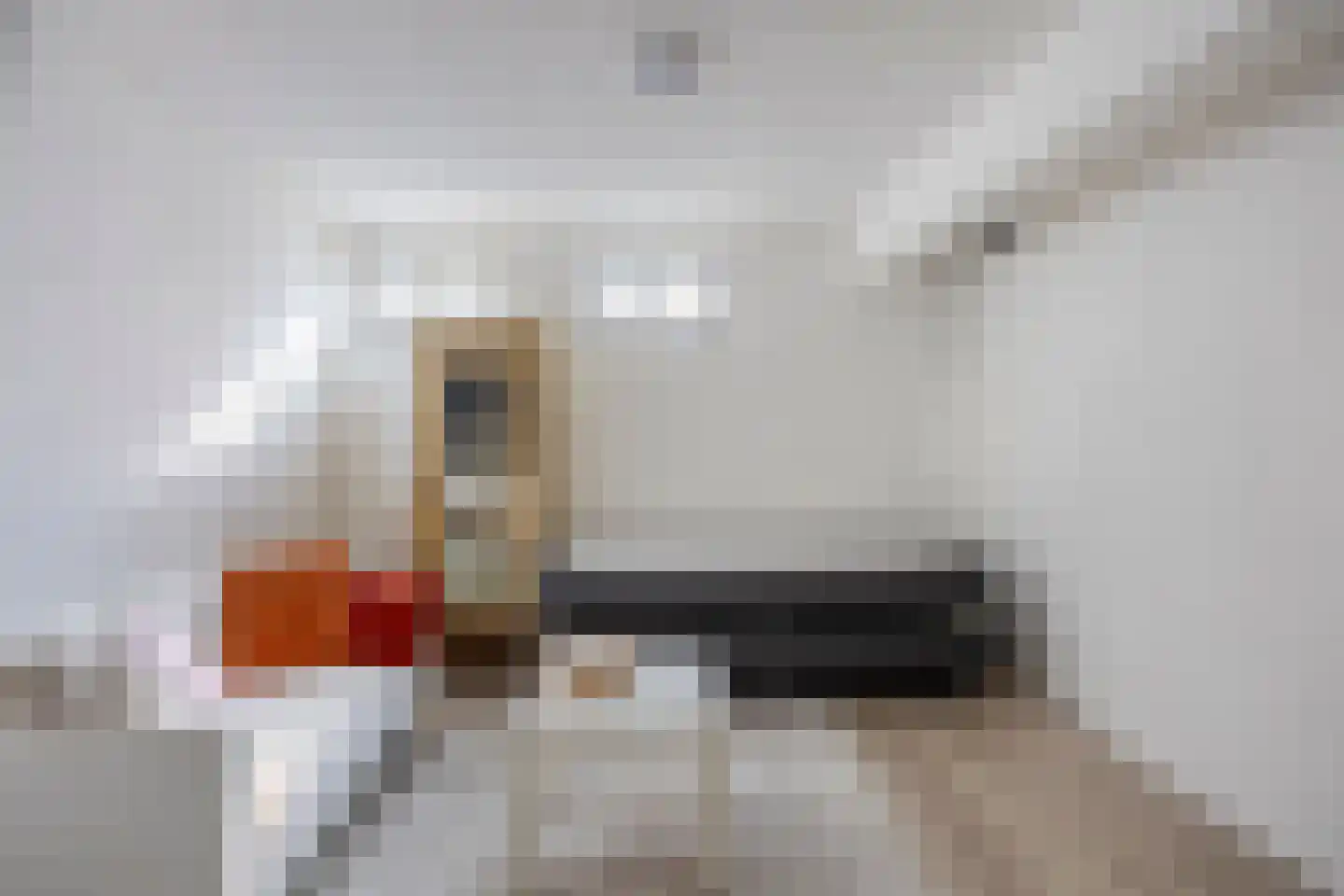 Fazantstraat 110 A Rotterdam thumbnail 20