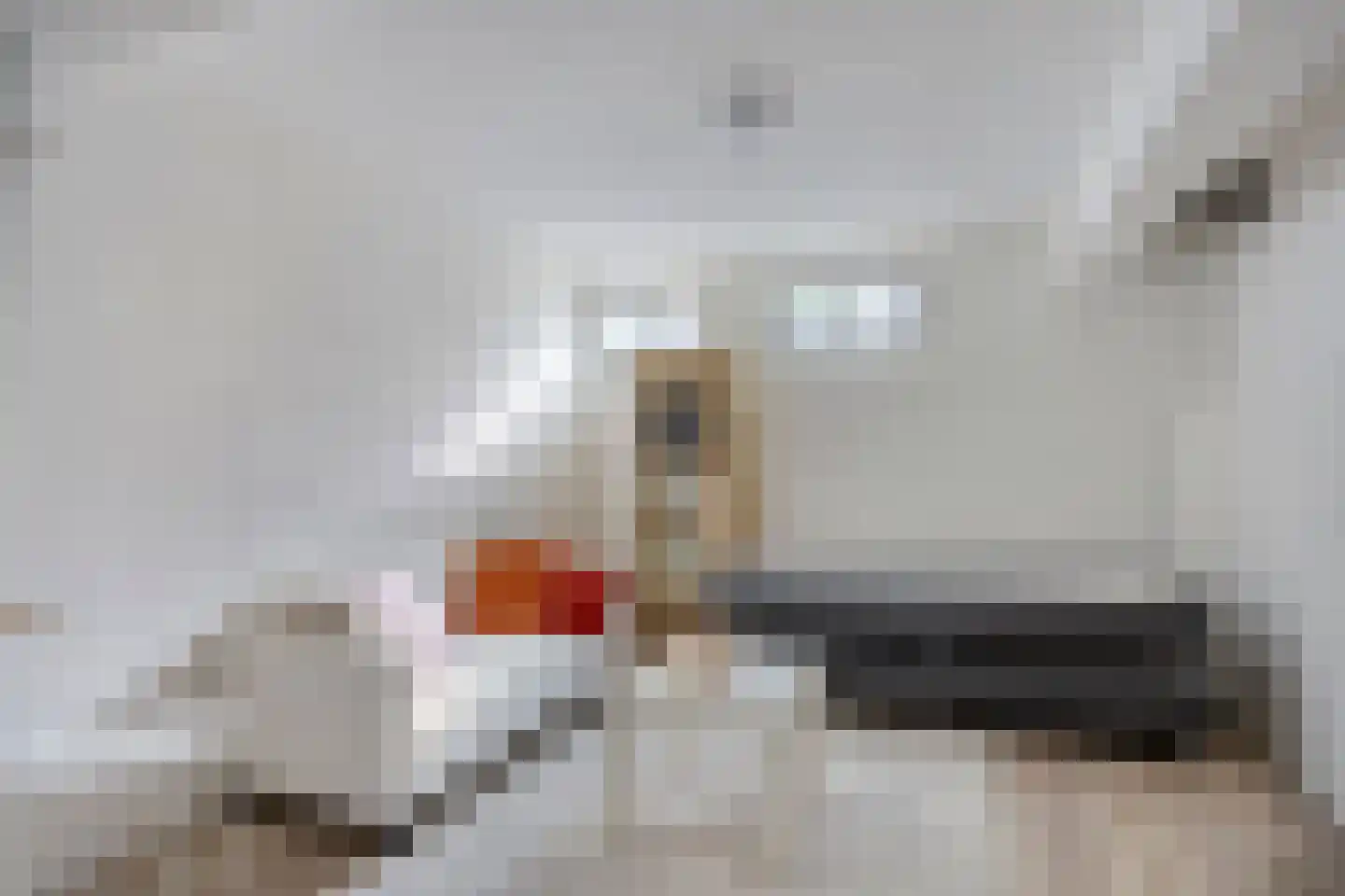 Fazantstraat 110 A Rotterdam thumbnail 21