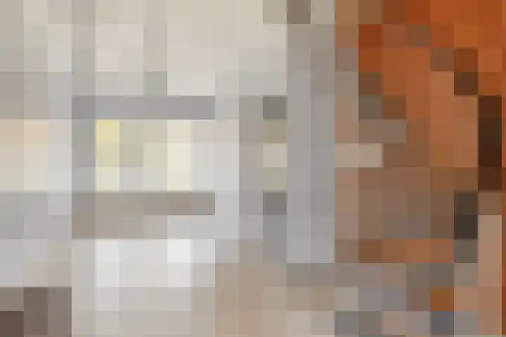 Fazantstraat 119 C Rotterdam thumbnail 9