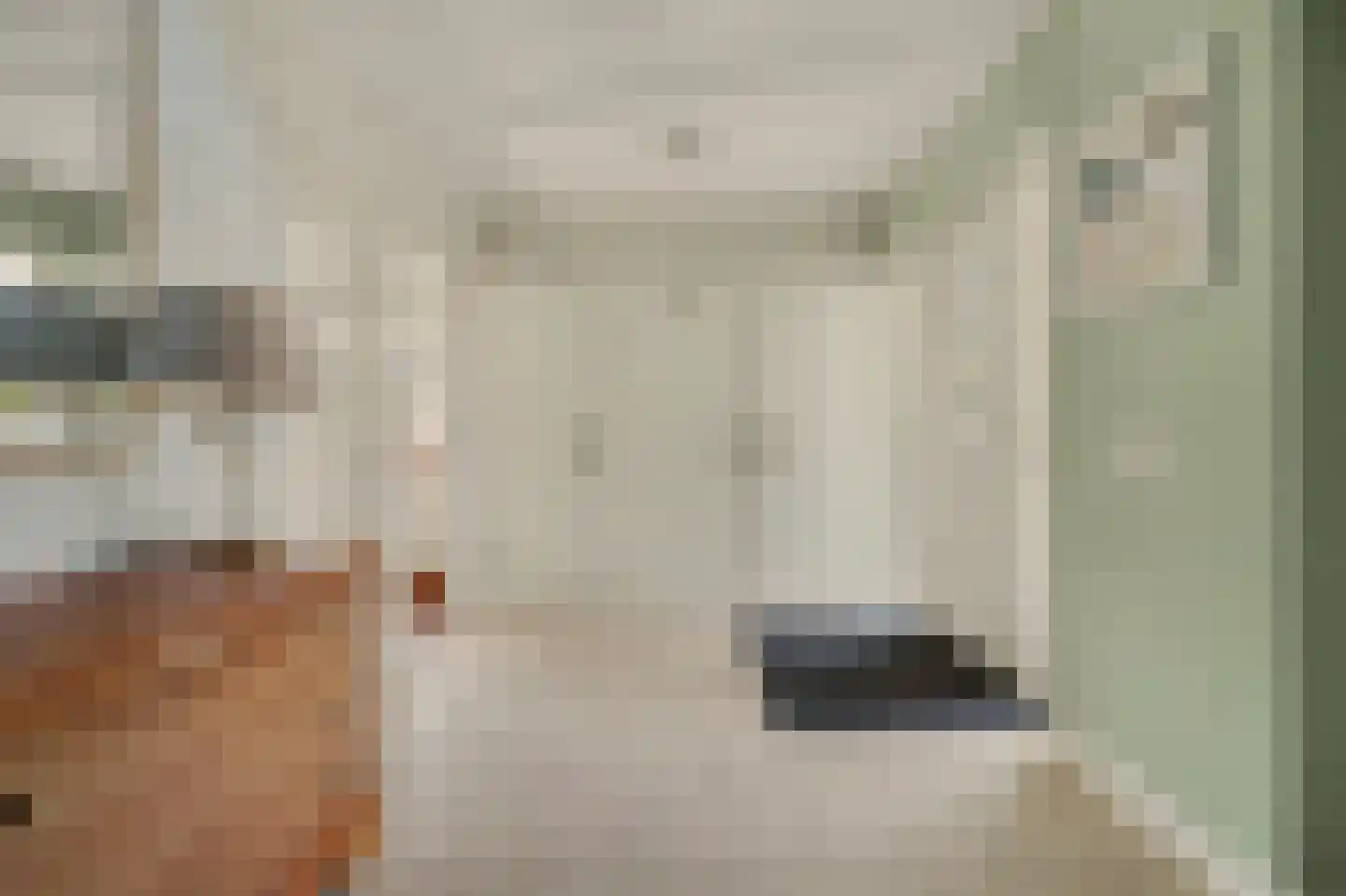 Fazantstraat 12 Piershil thumbnail 14