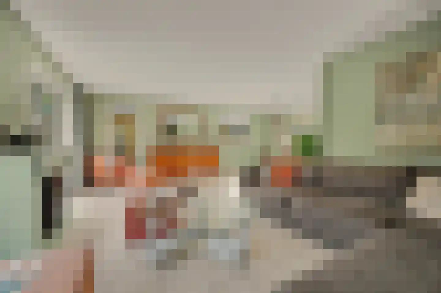 Fazantstraat 12 Piershil thumbnail 17