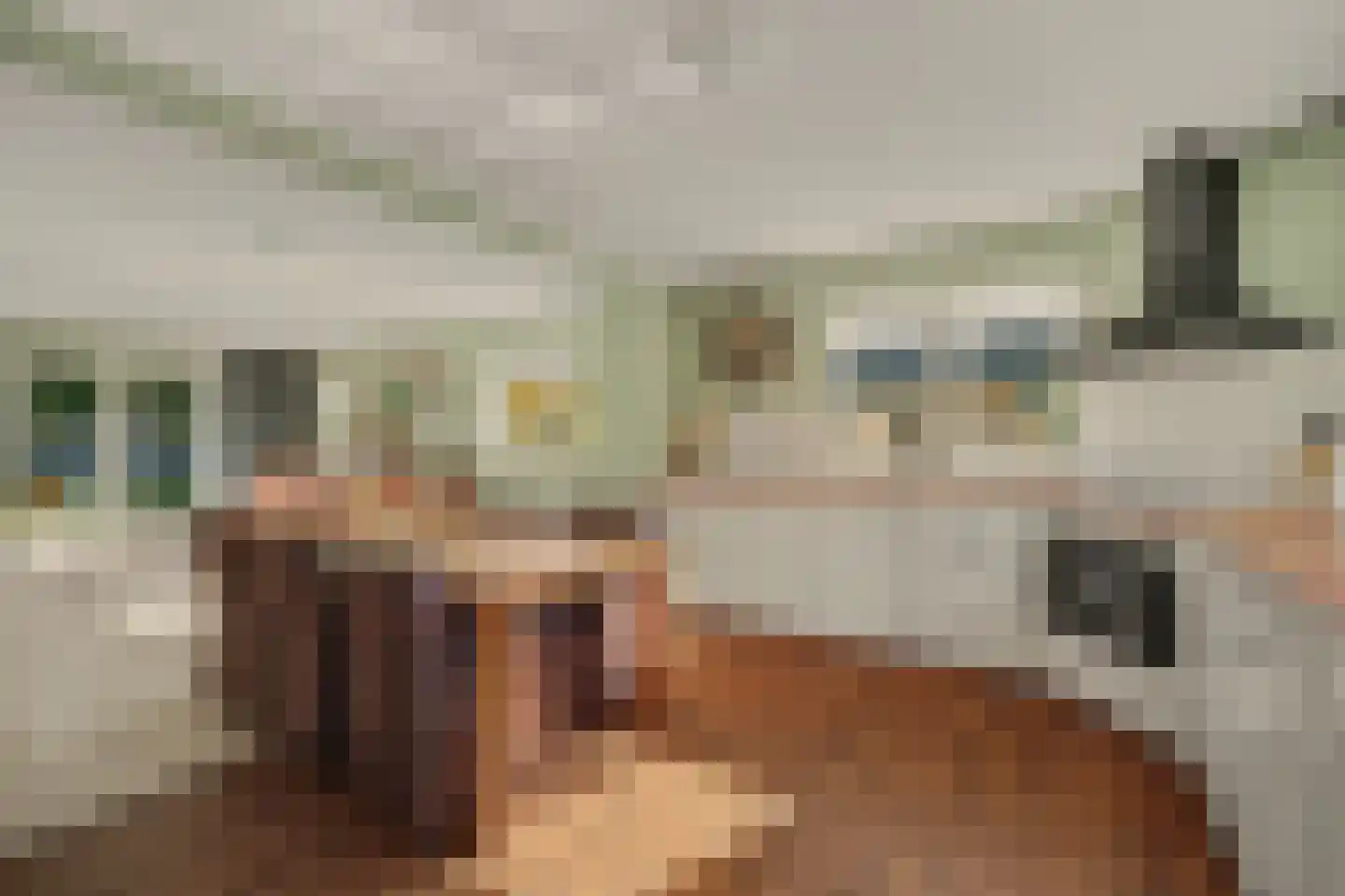 Fazantstraat 12 Piershil thumbnail 22