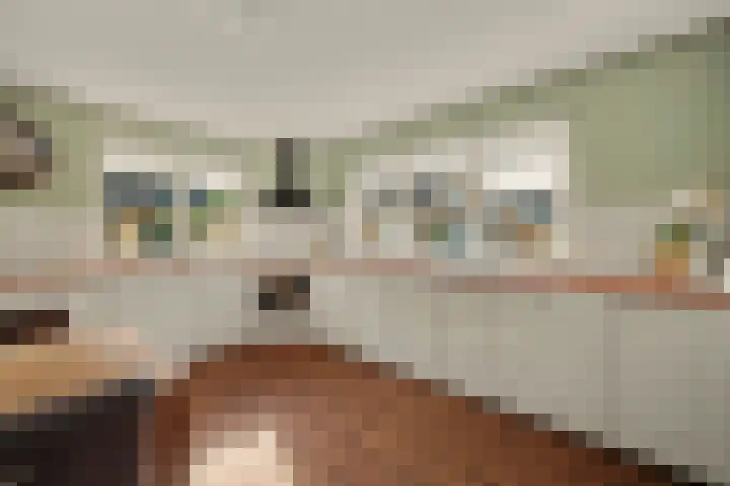 Fazantstraat 12 Piershil thumbnail 23