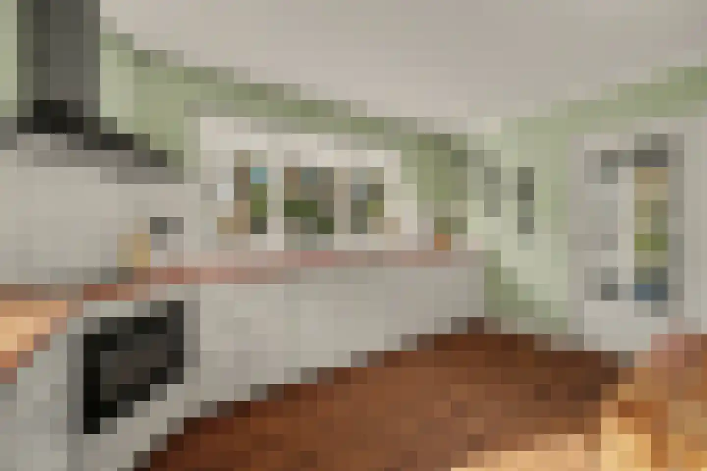 Fazantstraat 12 Piershil thumbnail 25