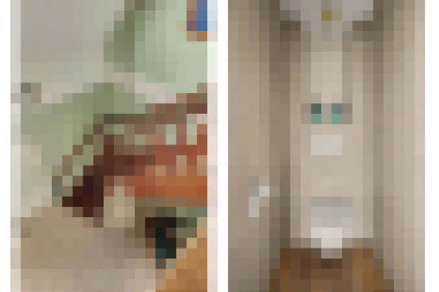 Fazantstraat 12 Piershil thumbnail 29