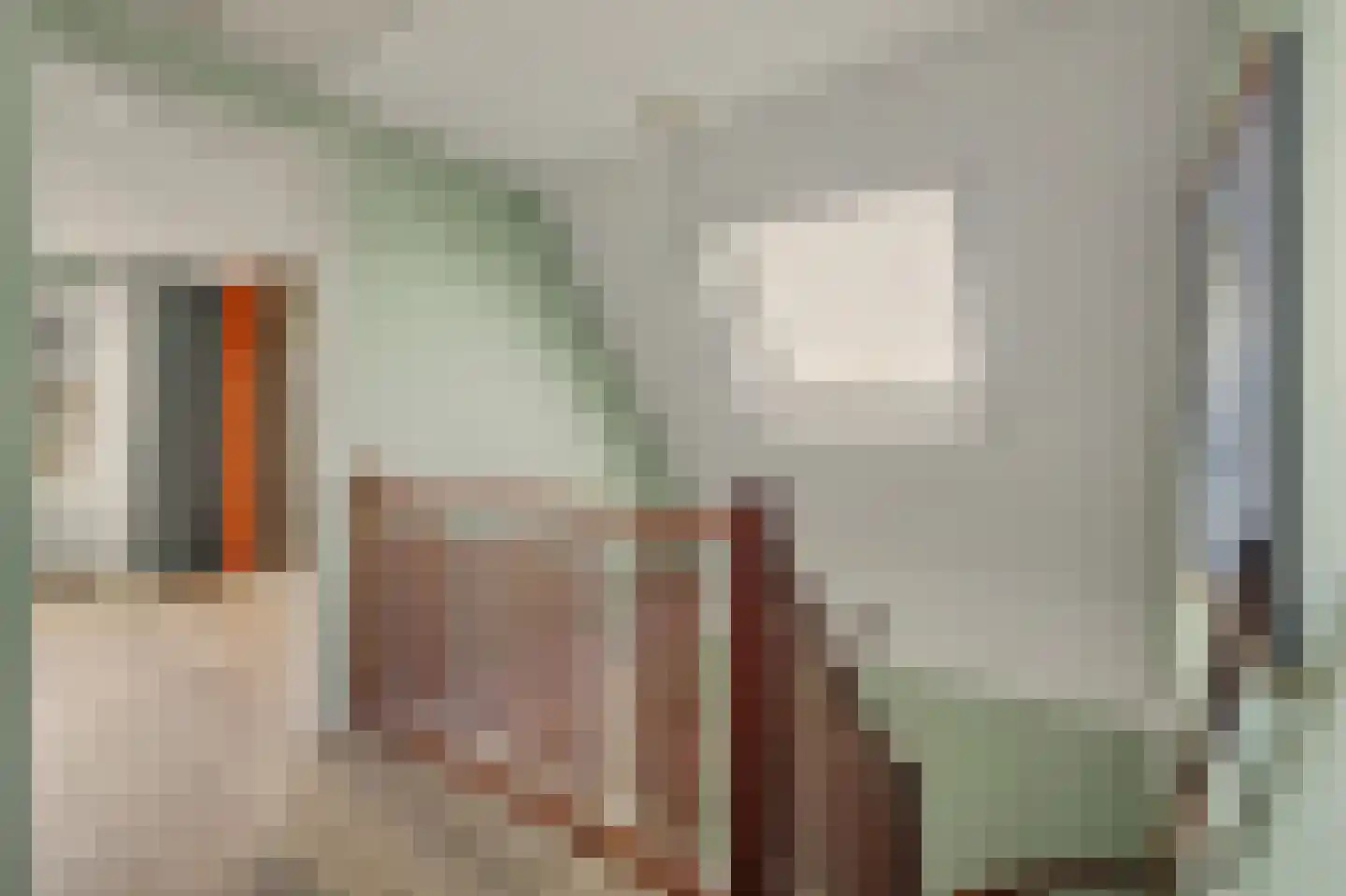 Fazantstraat 12 Piershil thumbnail 30