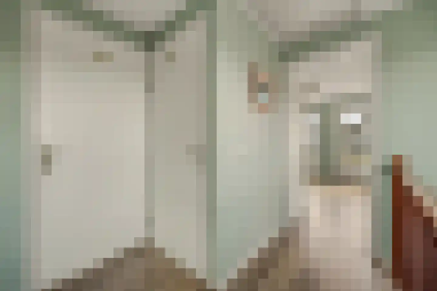 Fazantstraat 12 Piershil thumbnail 31