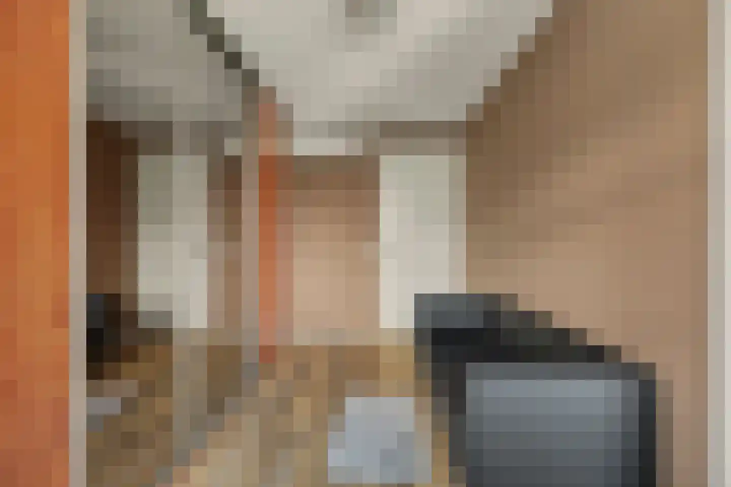 Fazantstraat 12 Piershil thumbnail 36