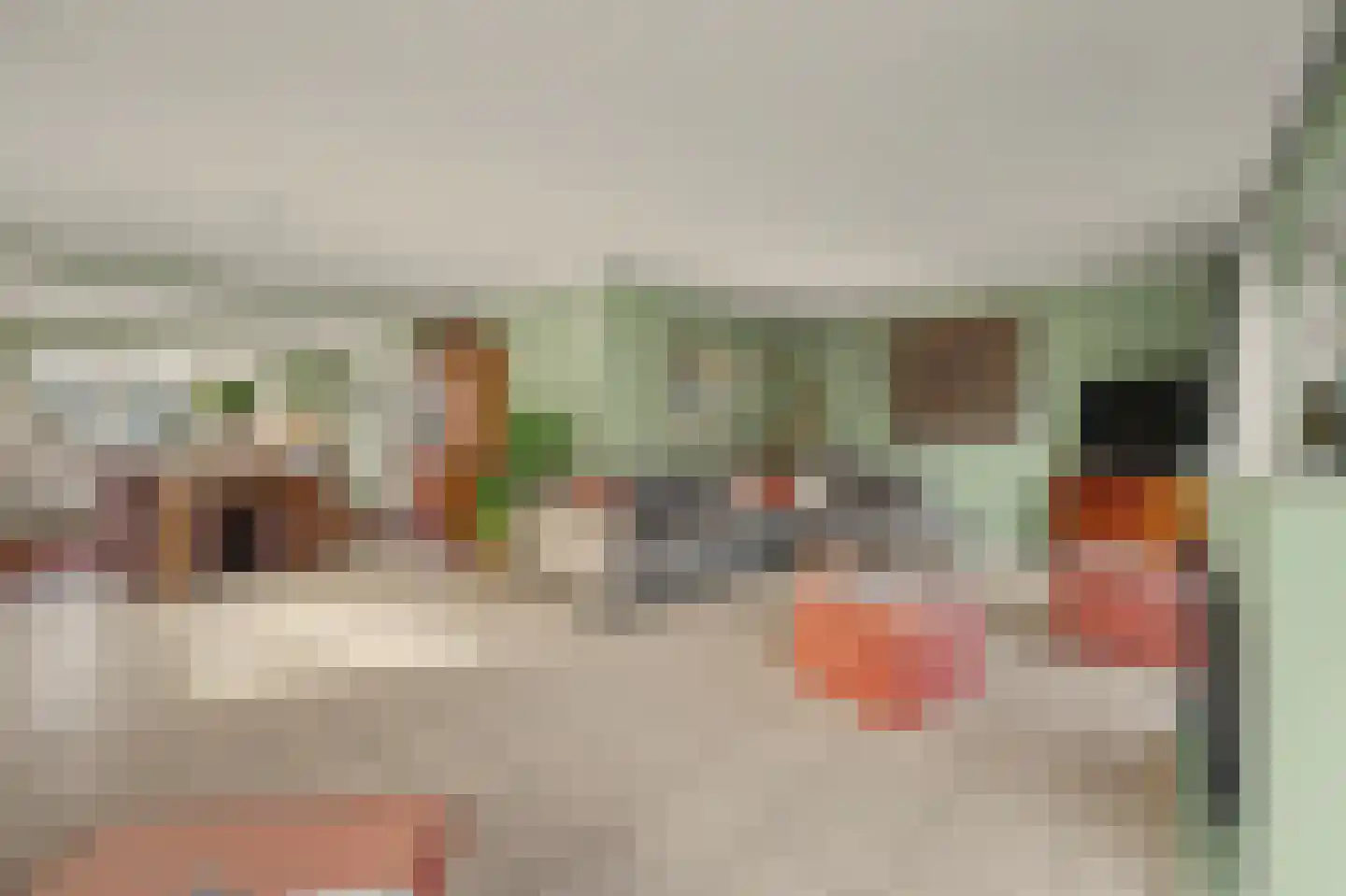 Fazantstraat 12 Piershil thumbnail 4