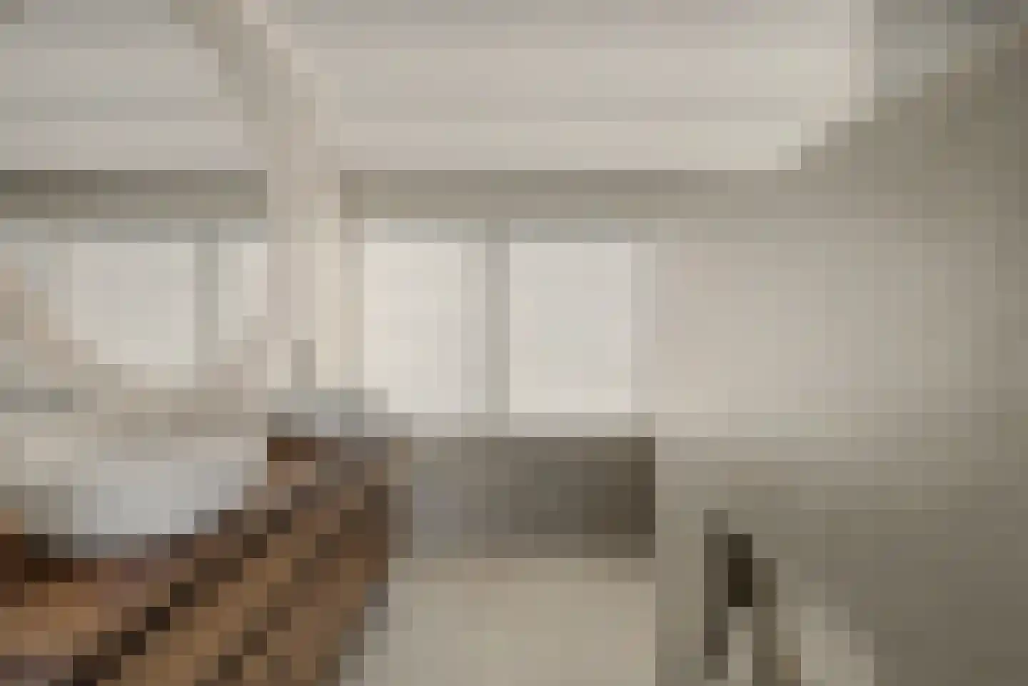 Fazantstraat 12 Piershil thumbnail 40