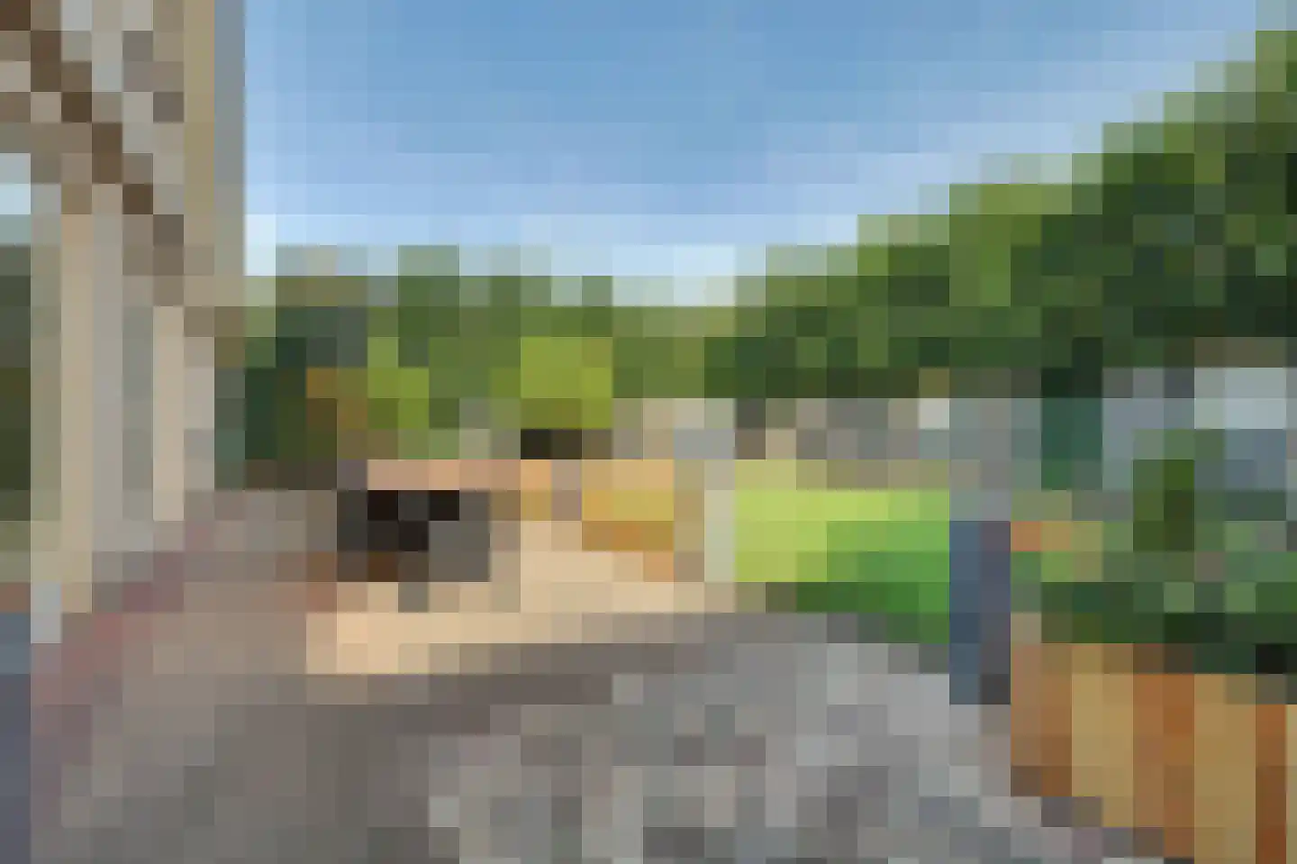 Fazantstraat 12 Piershil thumbnail 45