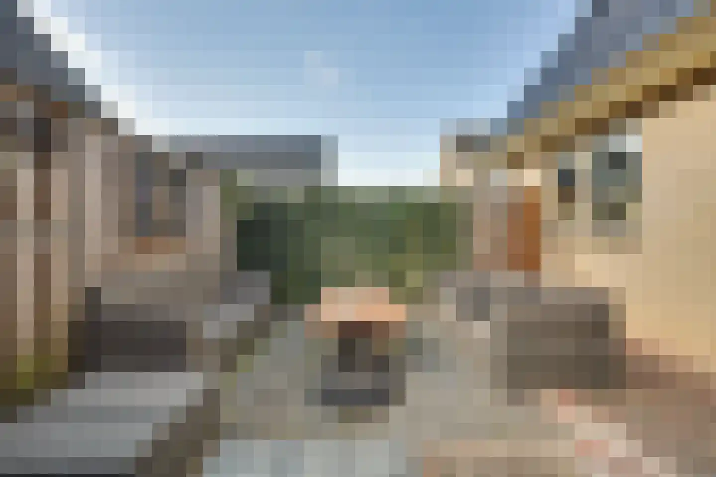 Fazantstraat 12 Piershil thumbnail 49