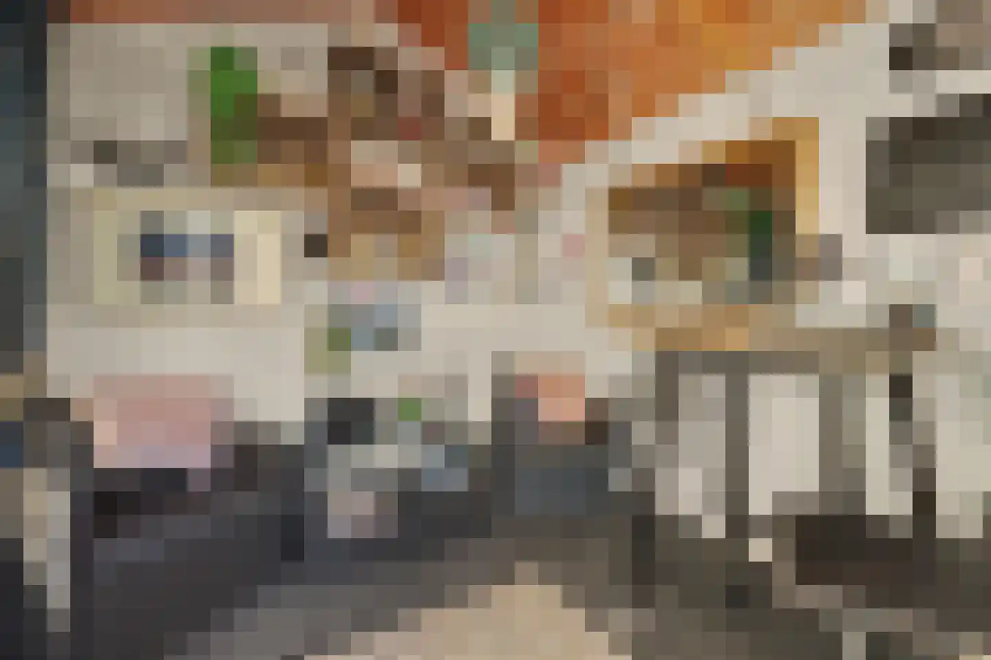 Fazantstraat 12 Piershil thumbnail 50