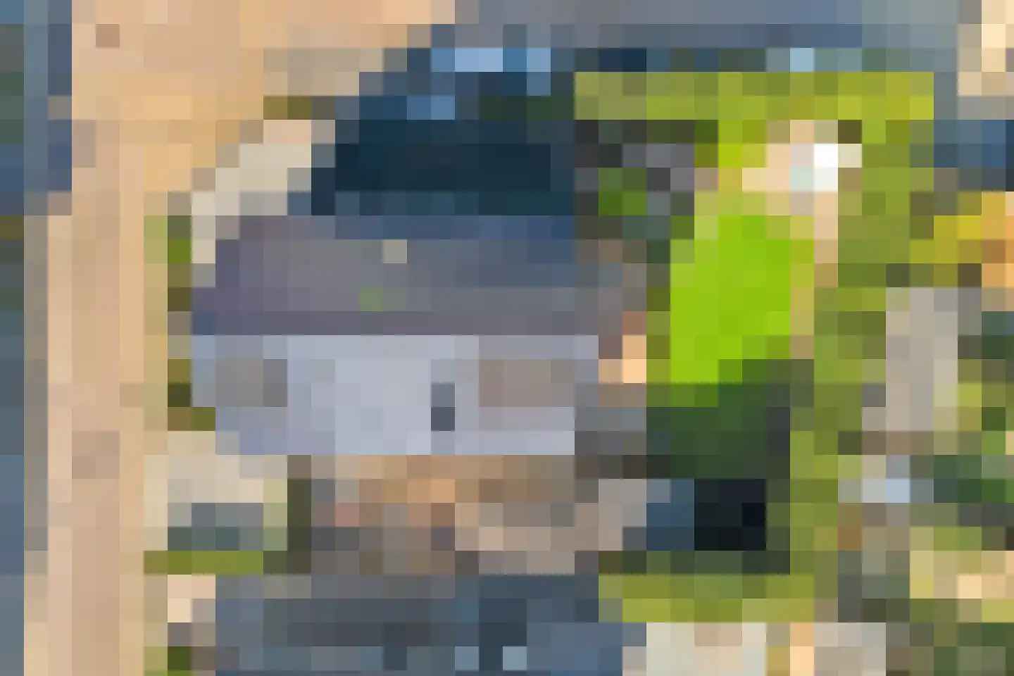 Fazantstraat 12 Piershil thumbnail 53