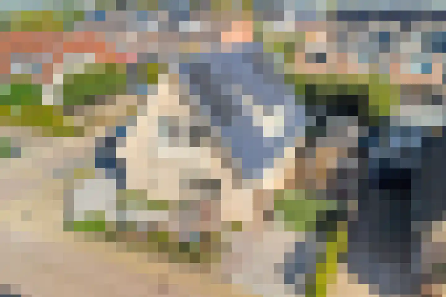 Fazantstraat 12 Piershil thumbnail 56