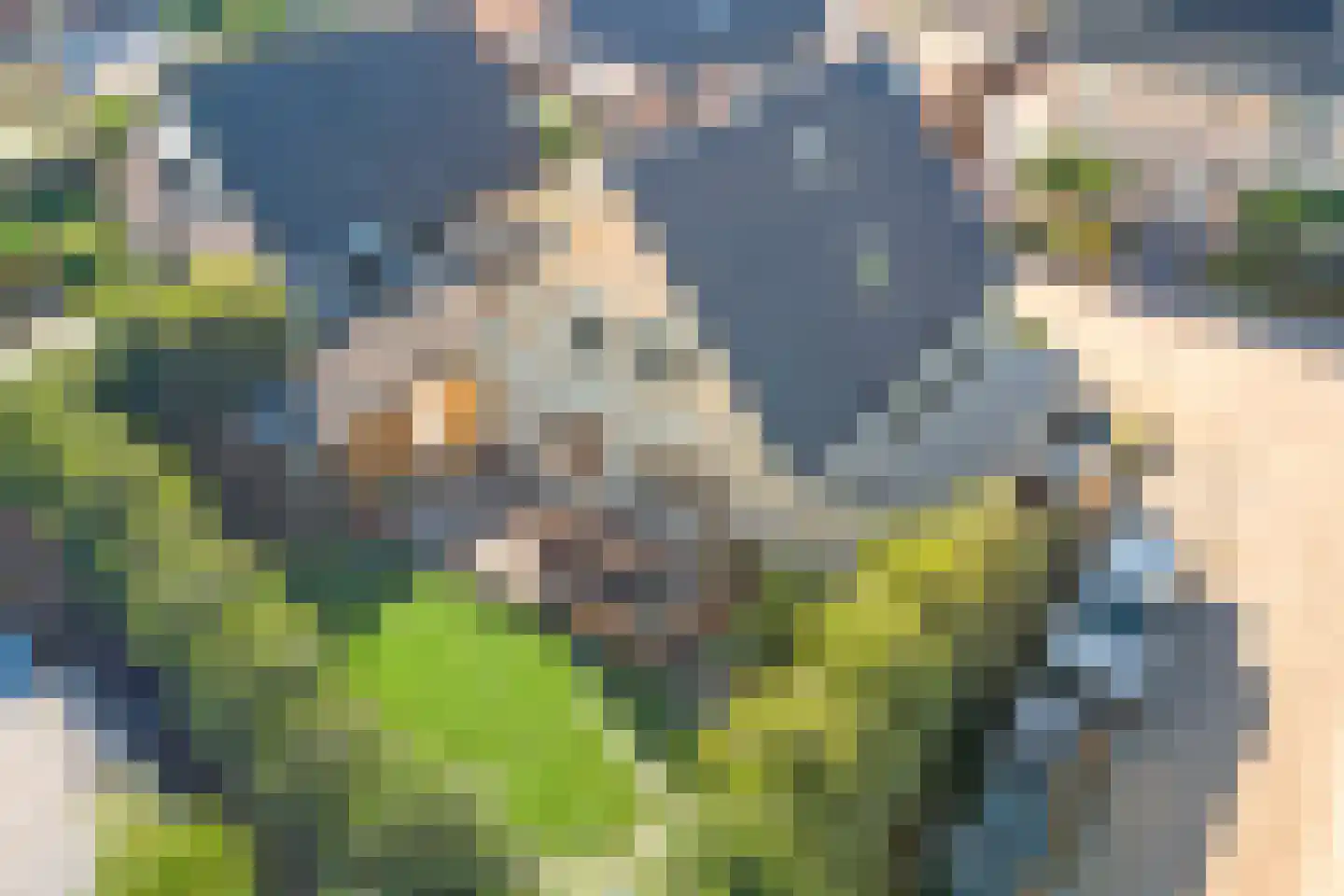 Fazantstraat 12 Piershil thumbnail 58