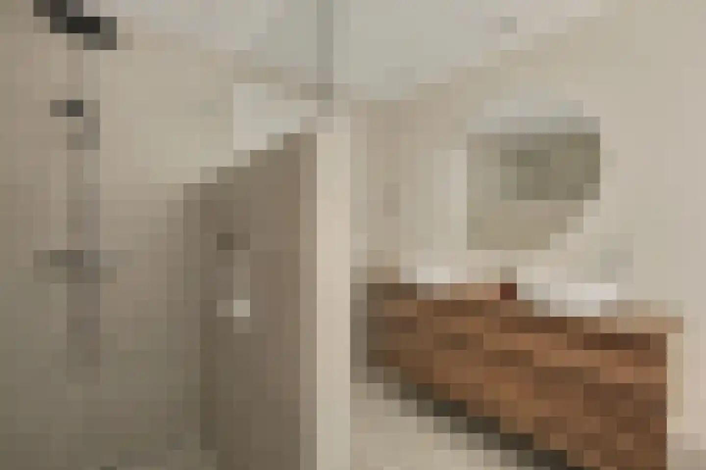 Fazantstraat 12 Piershil thumbnail 6