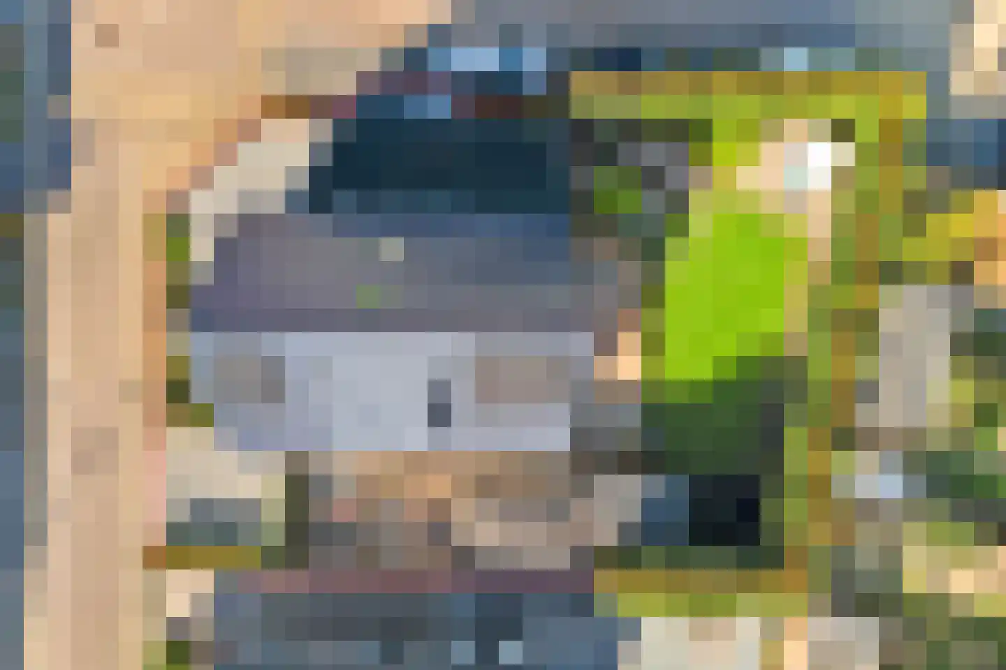 Fazantstraat 12 Piershil thumbnail 7