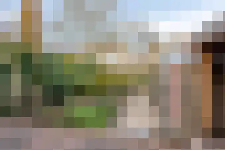 Fazantstraat 121 Haaksbergen thumbnail 16