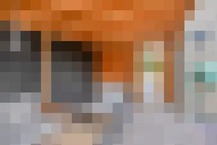 Fazantstraat 121 Haaksbergen thumbnail 4