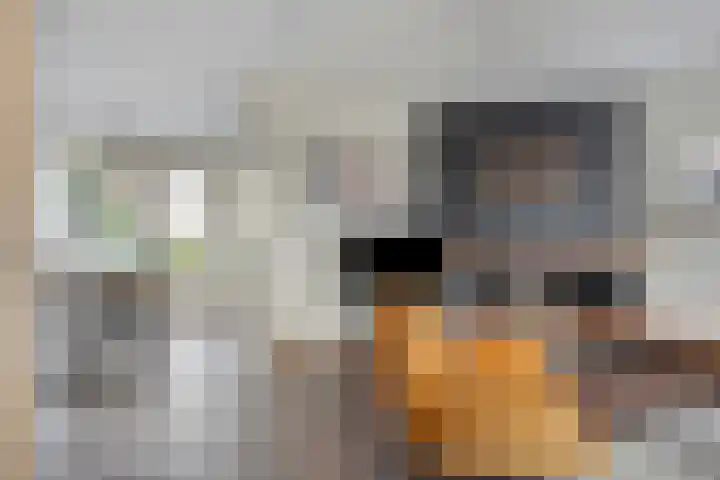 Fazantstraat 121 Haaksbergen thumbnail 6