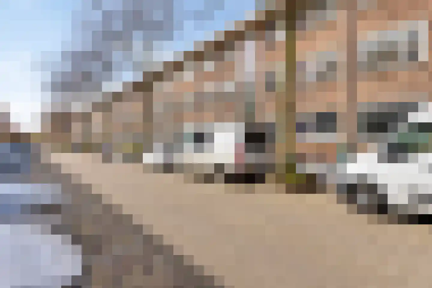 Fazantstraat 123 A Rotterdam thumbnail 5