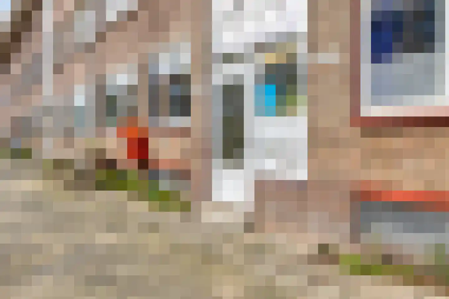 Fazantstraat 123 A Rotterdam thumbnail 6